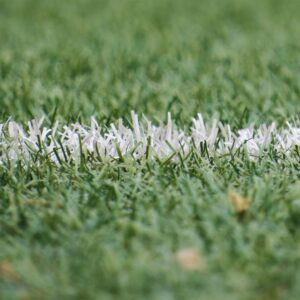 Grass on football field with white line