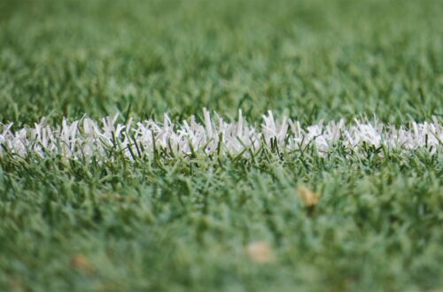 Grass on football field with white line